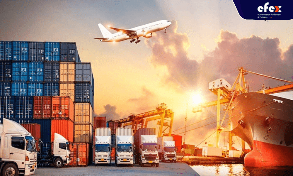 Vinatrans Logistics là công ty cung cấp các dịch vụ trong lĩnh vực vận chuyển và phân phối
