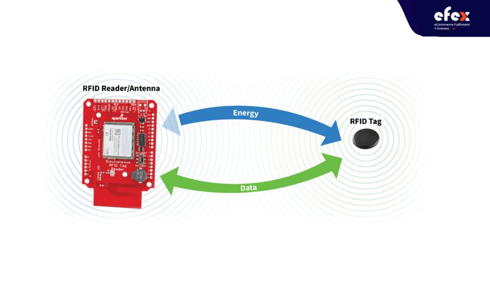 RFID-tag-and-RFID-reader