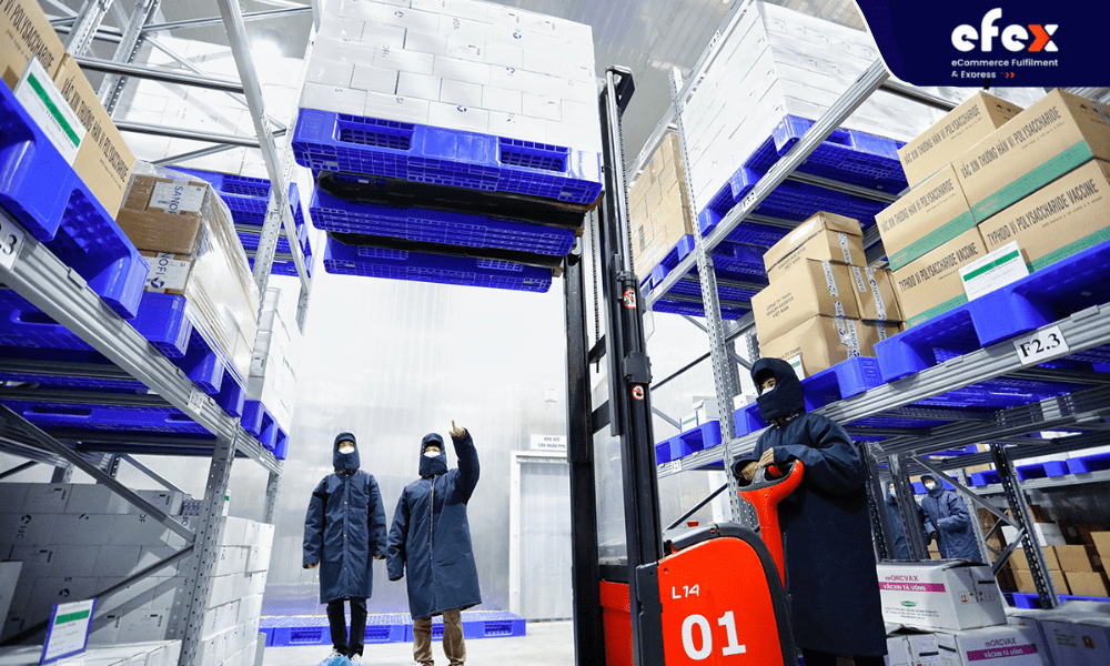 Problems With Vietnam Cold Storage Market 