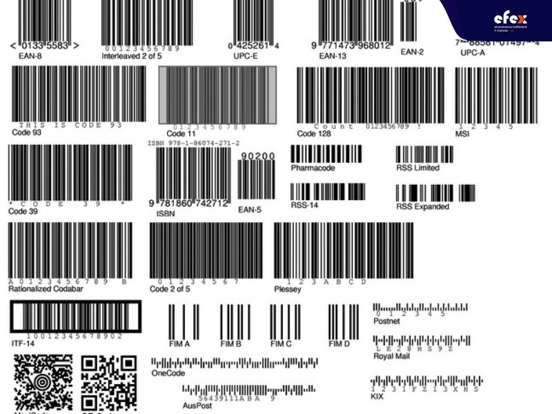 Barcode-Fonts-and-Types-of-Barcodes