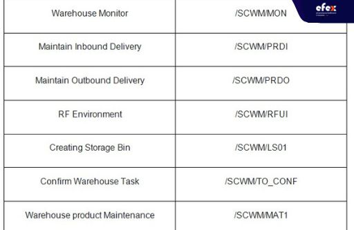 Check the various menu structures in the EWM system