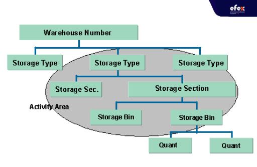 EWM-Physical-Warehouse-Mapping