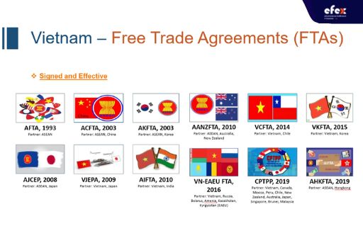 Vietnam's-free-trade-agreements