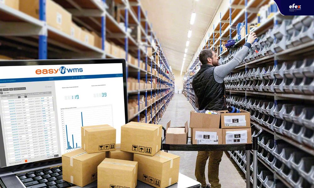 Who-is-a-Warehouse-Management-System-for