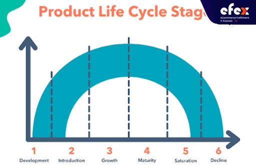 6 stages of product life cycle