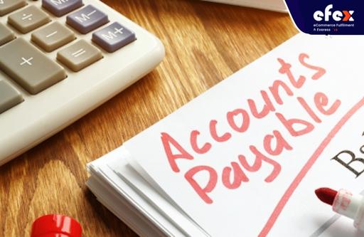 Raise accounts payable