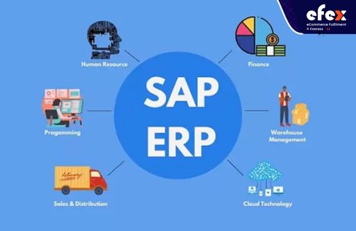 Capable-to-promise in SAP