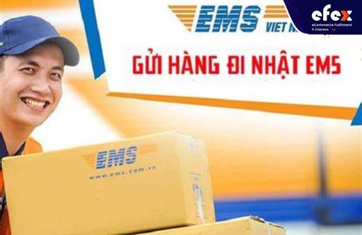 Gửi đồ bưu điện từ Việt nam sang Nhật EMS nhanh chóng, tiết kiệm