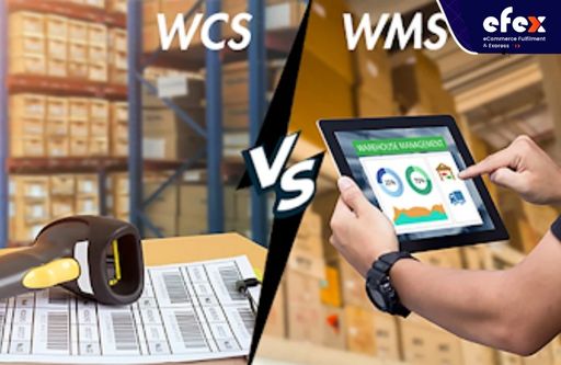 How do a WCS and a WMS differ