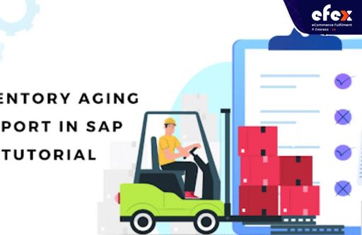 Inventory aging report SAP Tutorial