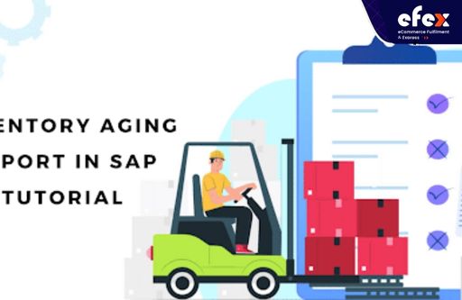 Inventory Aging Report SAP Tutorial Step By Step 