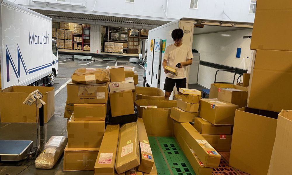 EFEX Cross Shipping Solution from Vietnam to Japan