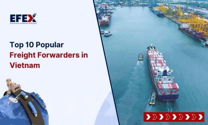 Top 10 Popular Freight Forwarders In Vietnam [2024 Updated List]