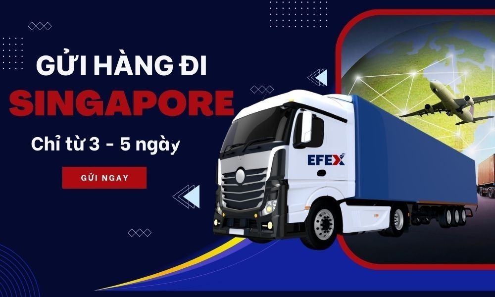 Gửi hàng đi Singapore tại EFEX