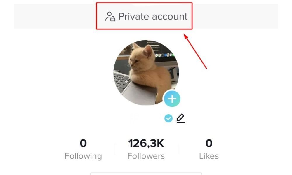 Once you set private mode, you may get no views from other users except for your followers